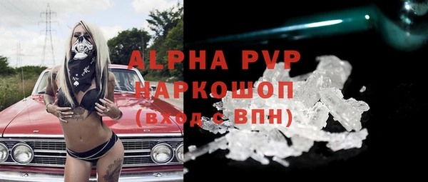прущие грибы Абаза