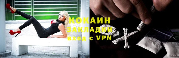 стаф Алексеевка