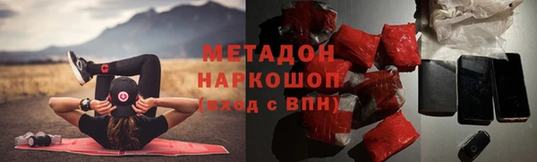 прущие грибы Абаза