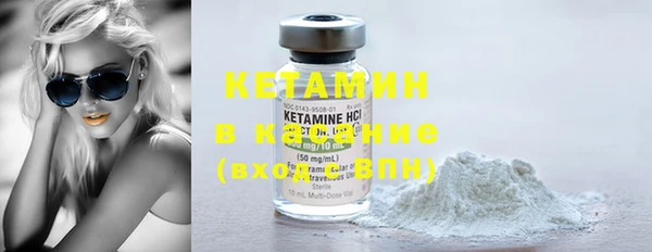 прущие грибы Абаза