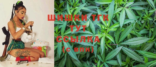 сатива Алзамай