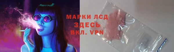 сатива Алзамай