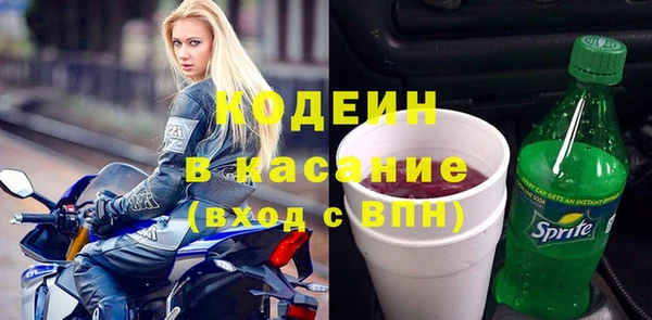 прущие грибы Абаза
